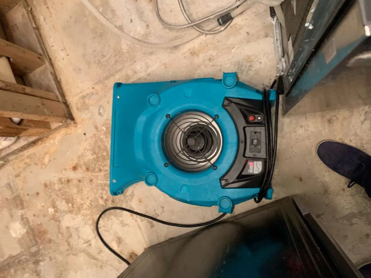 Air mover drying equipment for Mold Remediation & Removal in Tumwater